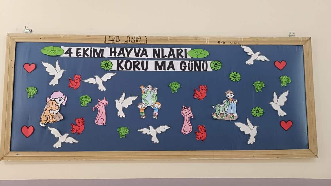 4 EKİM HAYVANLARI KORUMA GÜNÜ